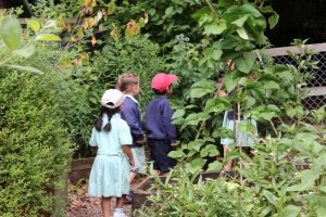 Montessori pre school children play in the garden