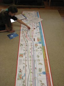 the timeline of life
