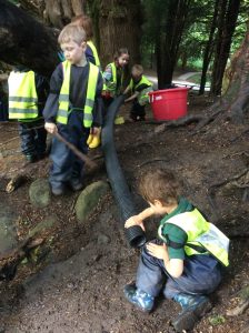 children at forest school