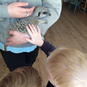 Exploring the Ethics of Using Live Animals in Primary Schools