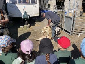 Wharfedale Montessori visits Low House Farm