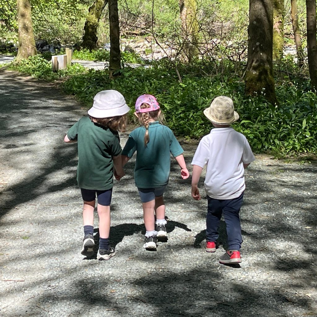 Three children walking hand in hand through woodlands
